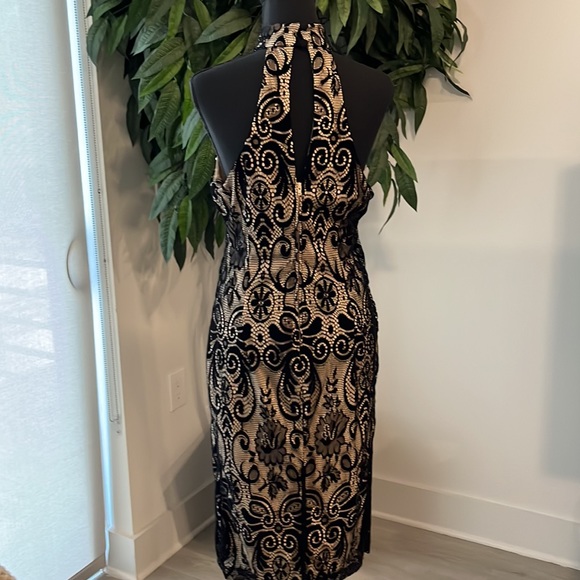 (NWOT) Bisou Bisou Lace Dress - Picture 4 of 7